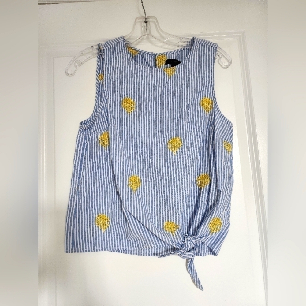 J. Crew Womens blue & white striped top with embroidered pineapples size 2